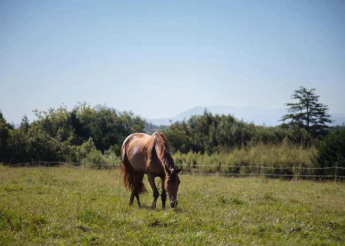 Chateau Du Clair De Lune - Boutique Luxury 4* Biarritz
