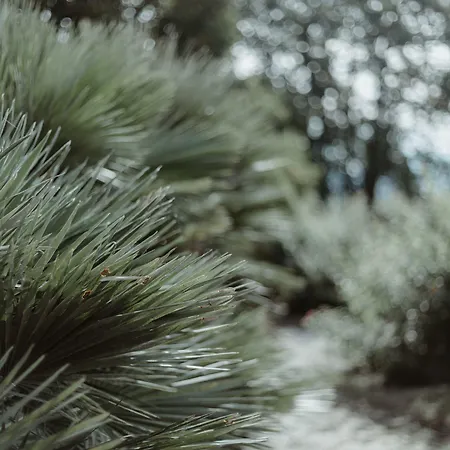 Otel Chateau Du Clair De Lune - Boutique Luxury