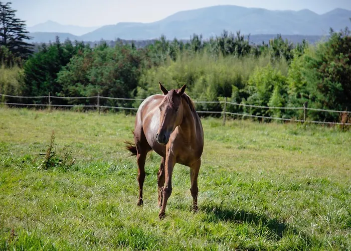 Château Du Clair De Lune - Les Collectionneurs 4*