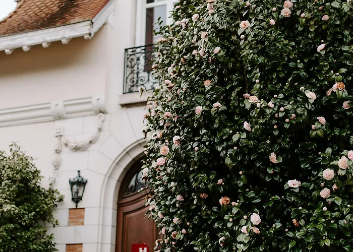 Chateau Du Clair De Lune - Boutique Luxury Hotell Biarritz