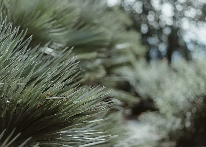 Hotel Château Du Clair De Lune - Les Collectionneurs